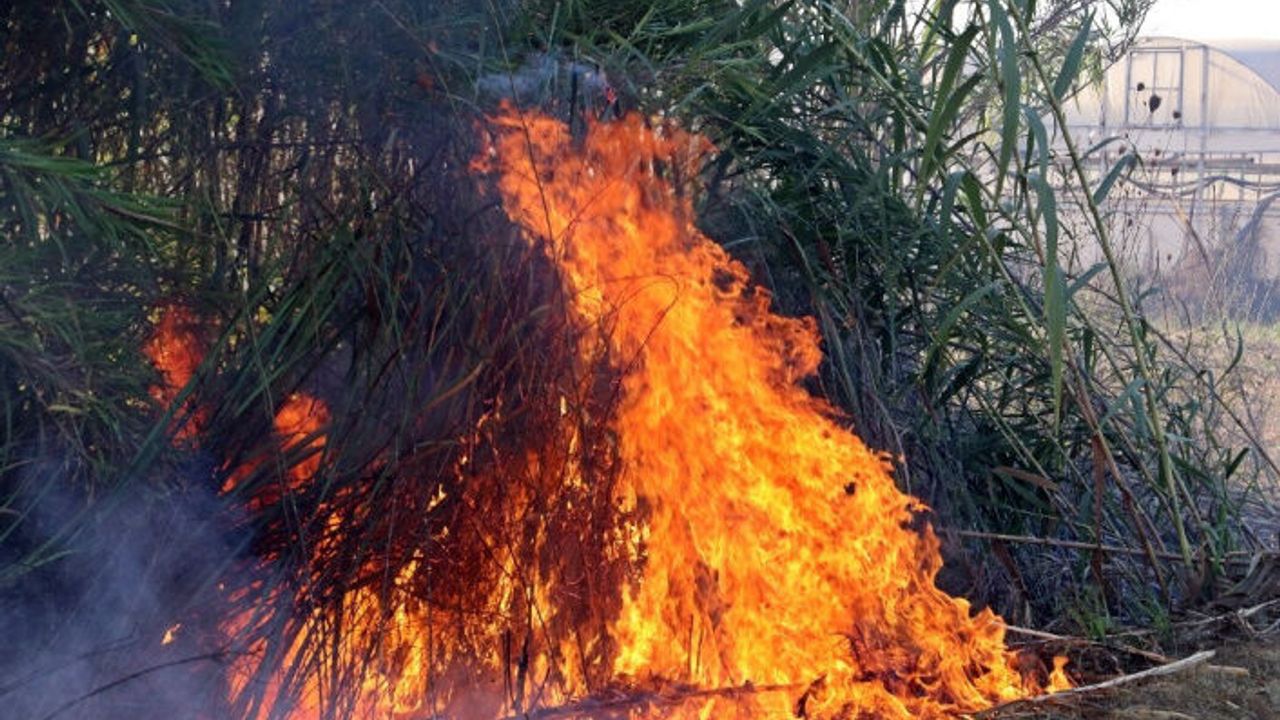 Antalya’da seraları tehdit eden sazlık yangını korkuttu