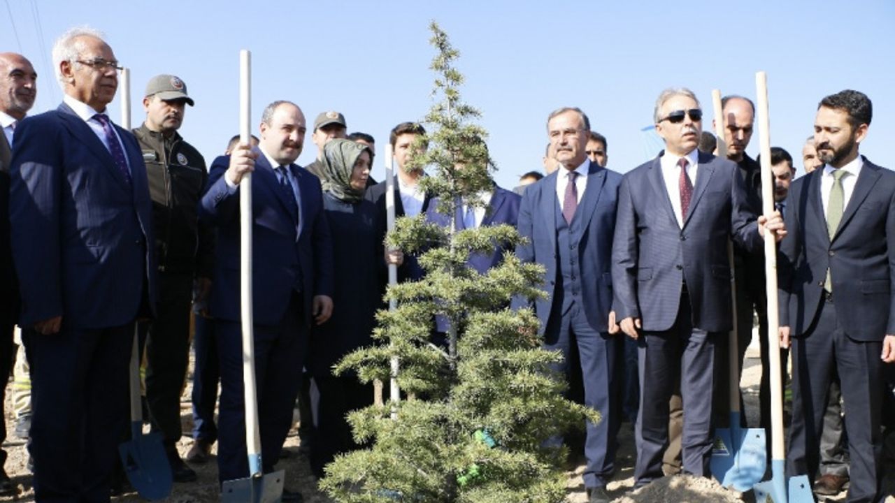 Bakan Varank sert konuştu: "Gezi parkında 3 ağaç için sokağa dökülenler nerede?"