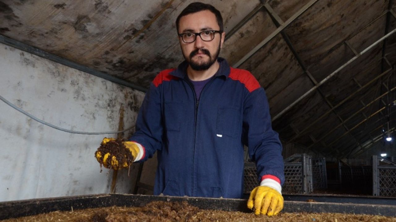 15 milyon solucan ile organik gübre üretiyor
