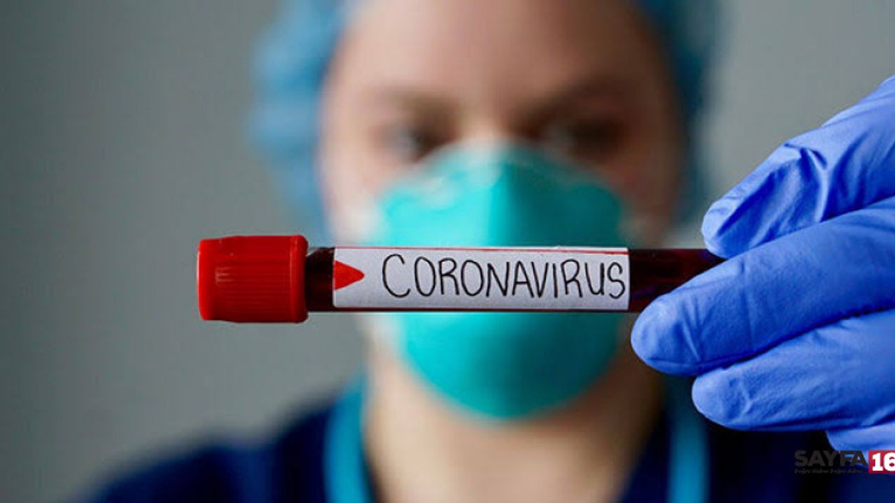 Korona virüsten 83 kişi hayatını kaybetti