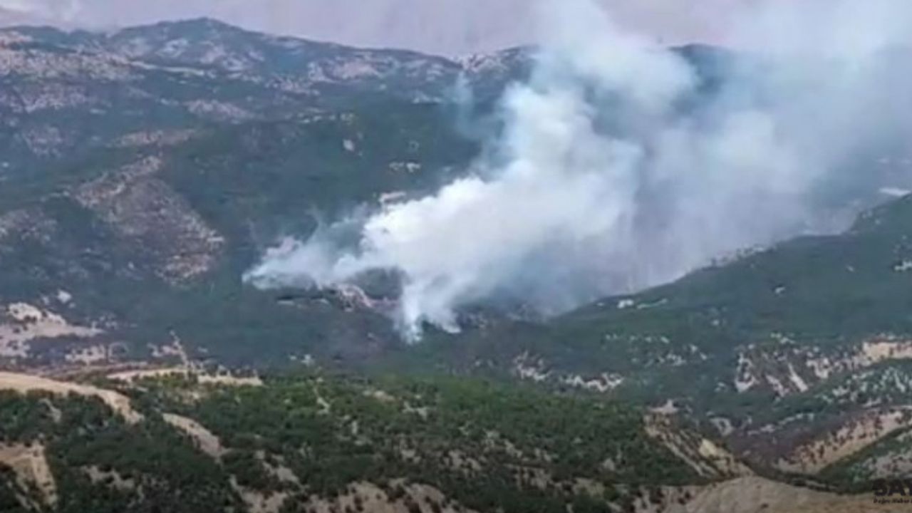 Tunceli’deki orman yangını devam ediyor