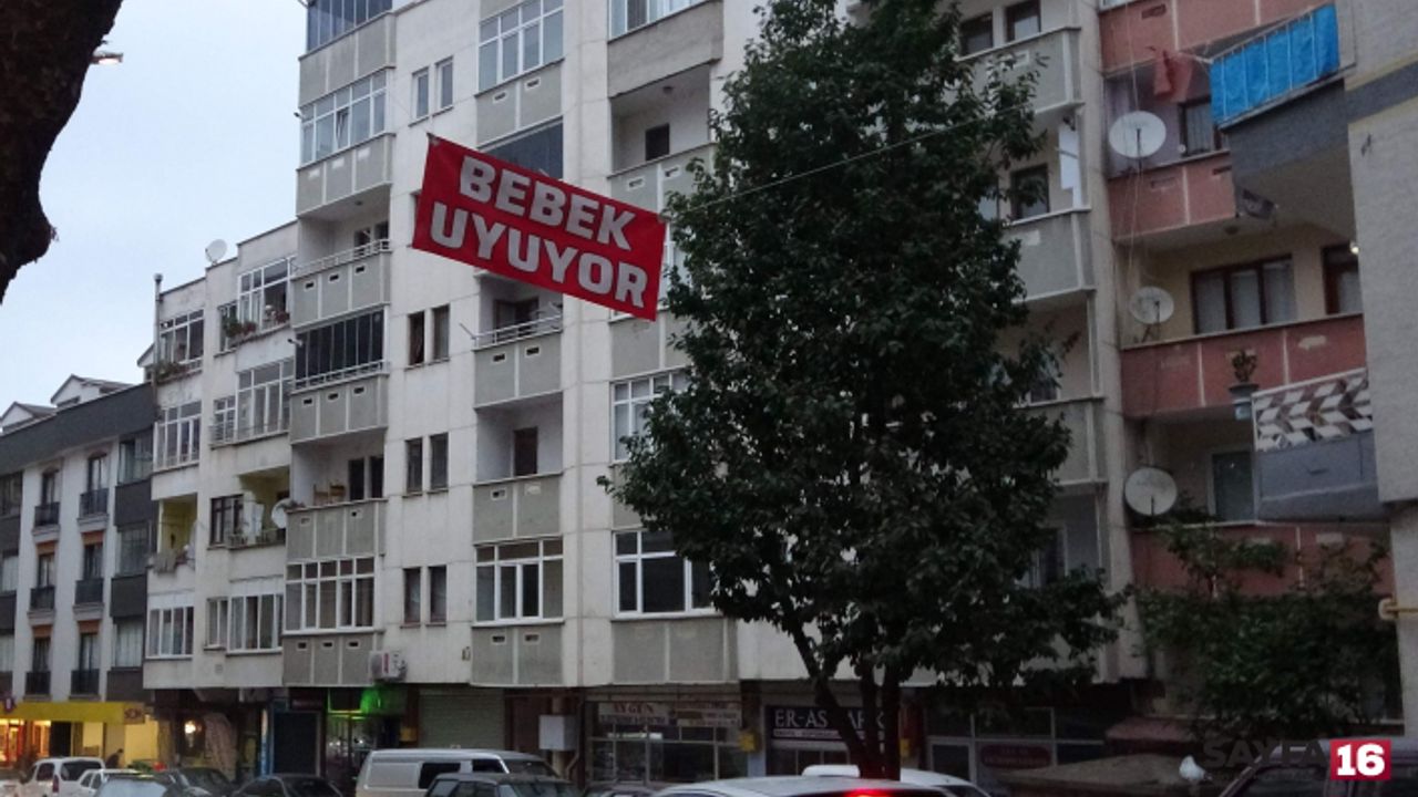 Bebeği uyuyamayınca ilginç bir yöntem buldu