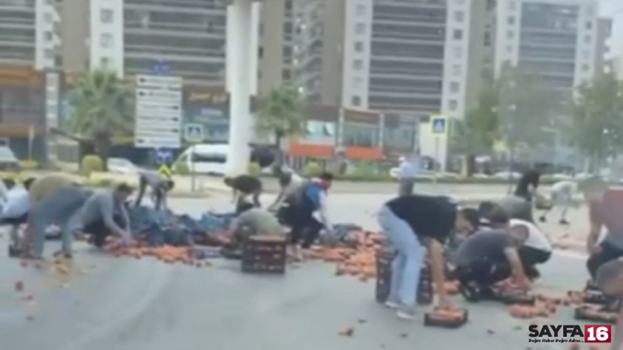 Kamyonetten şeftali döküldü, herkes durup yardım etti
