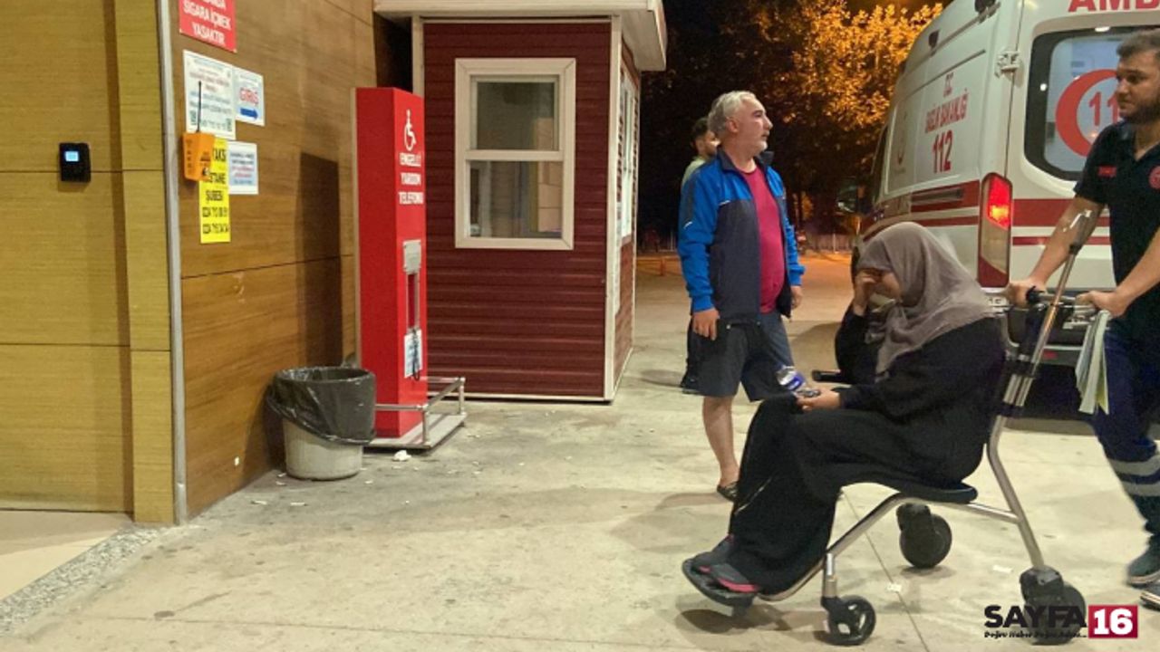Oylat'ta kayboldu, ormanda çıplak halde bulundu