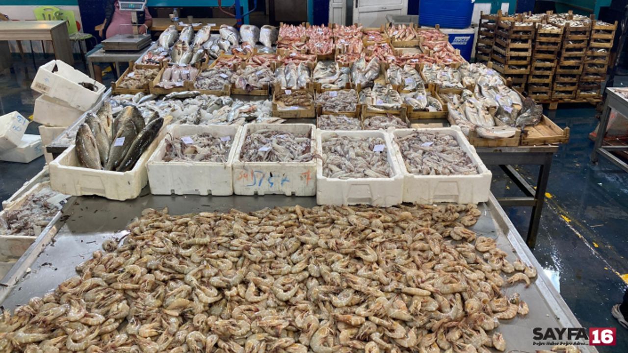 Av sezonu açıldı, balık hali balıkla doldu