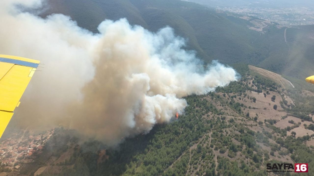 Balıkesir Kepsut'ta orman yangını