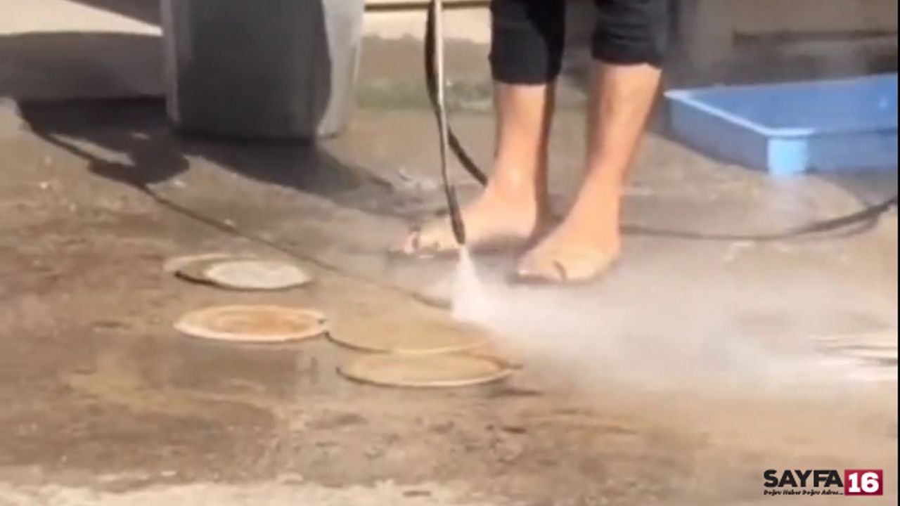 Ünlü pizzacıda mide bulandıran görüntüler