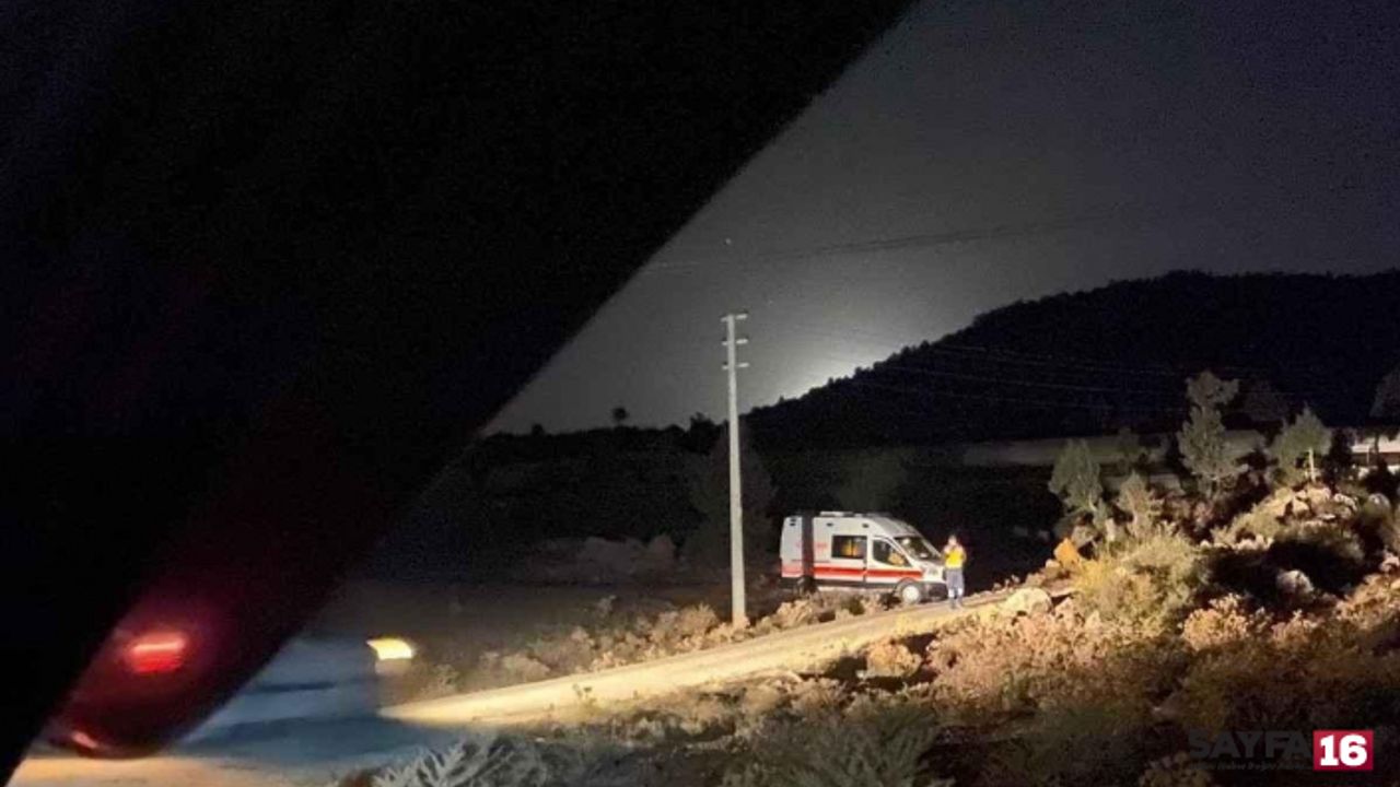 Tarla için yengesini öldürüp intihar etti