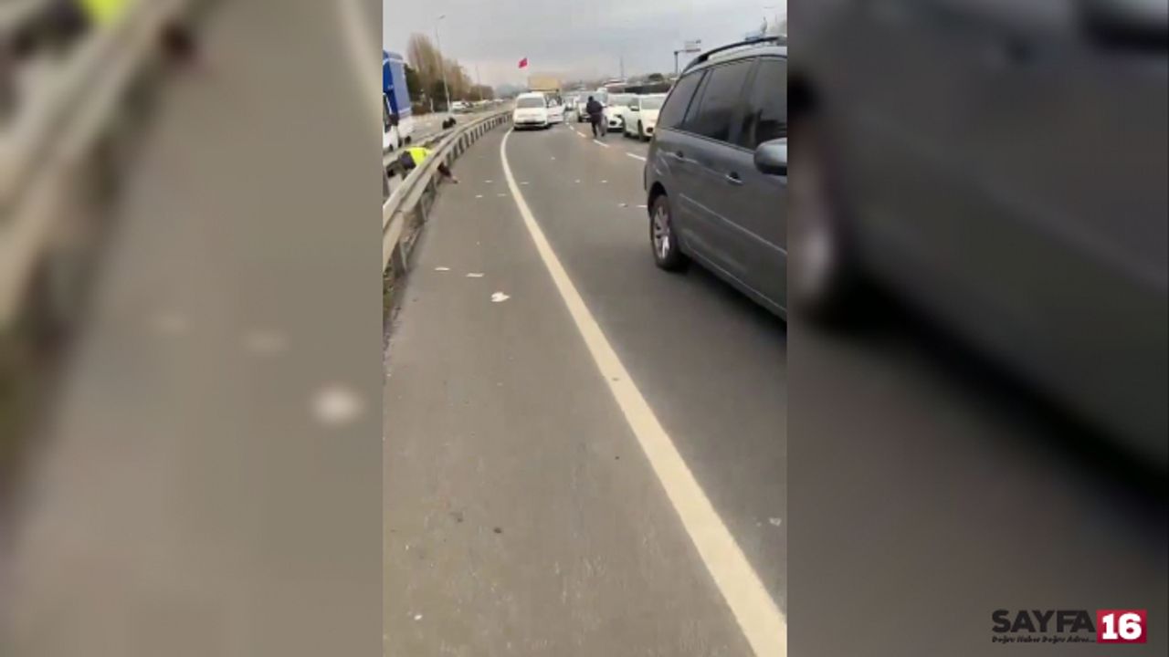 150 bin Euro havaya saçılınca insanlar paraları alıp kaçtı