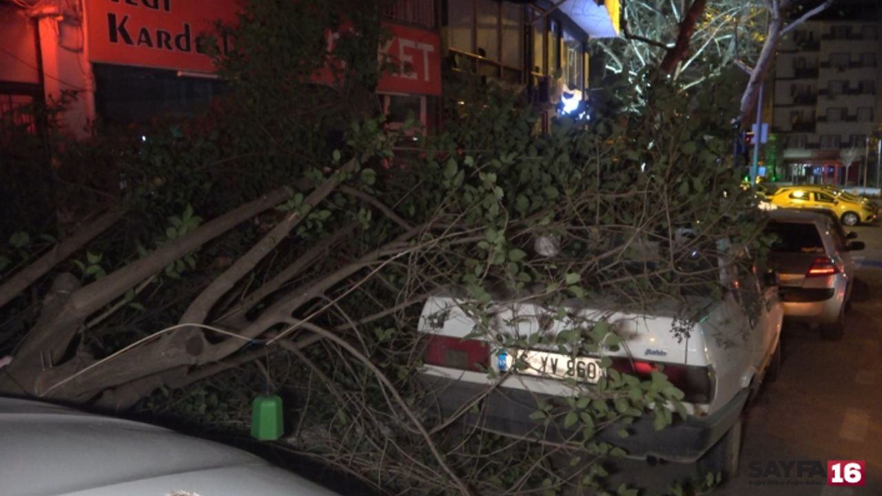 Bursa'da lodos etkili oluyor