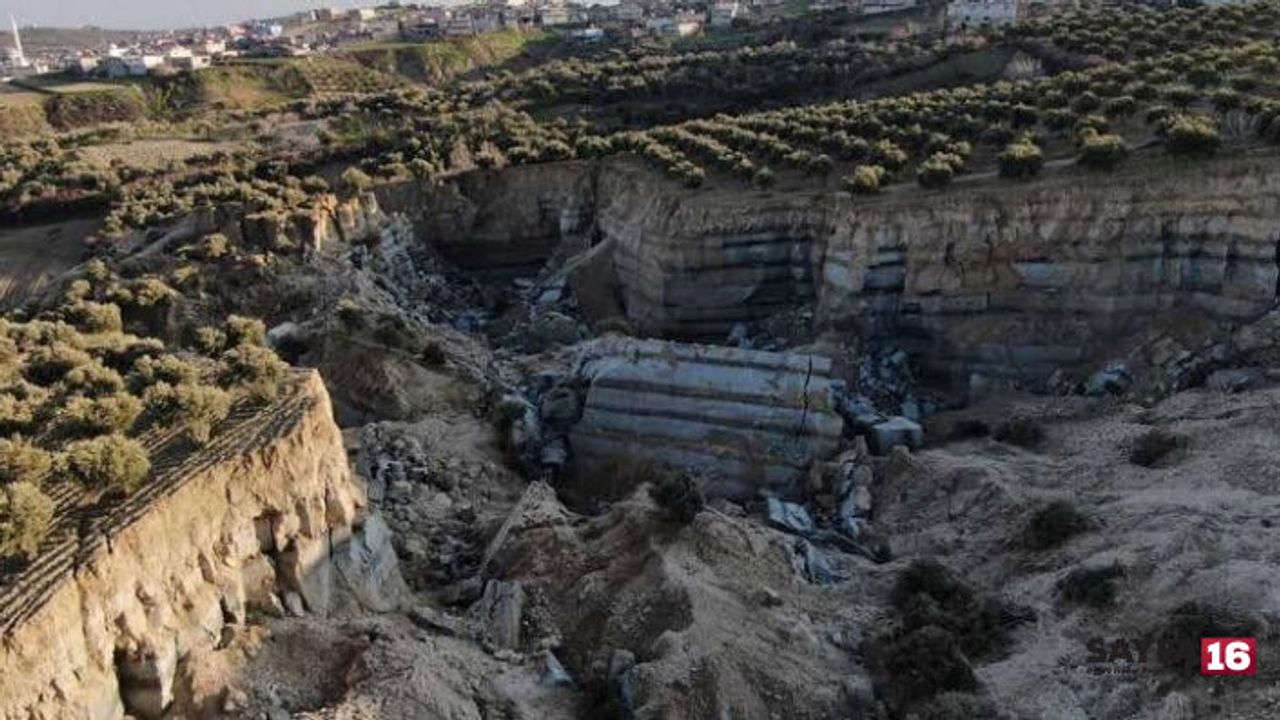 Hatay’daki bir zeytin bahçesi depremlerde ikiye yarıldı