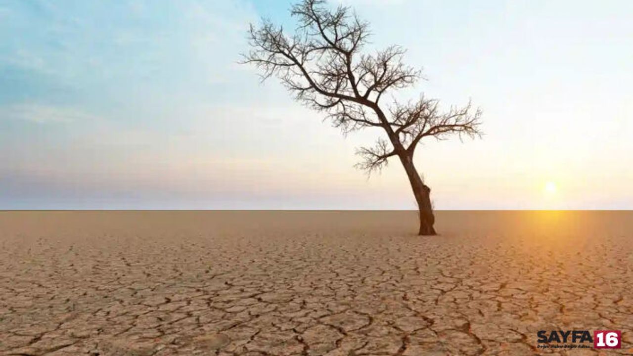 "Nüfusumuz batıda, suyumuz doğuda. Nüfus dengelenmesi şart"