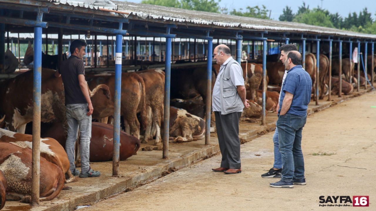 Bursa'da kurban kesim alanları belirlendi