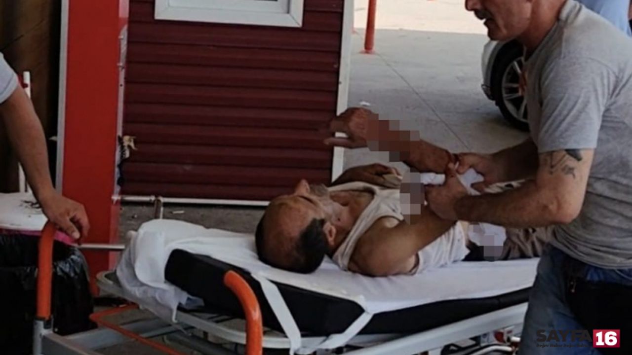 Bursa'da ağaç keserken dal koluna saplandı