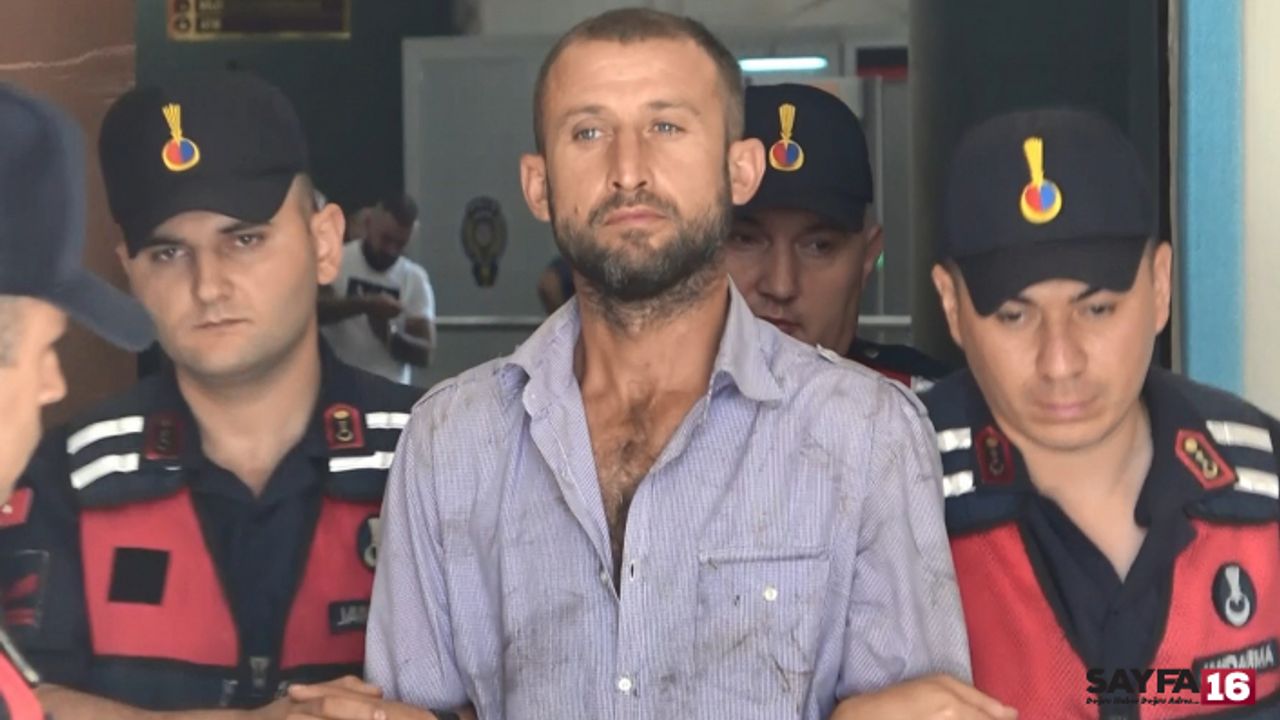 Bursa'da orman yangını çıkaran şahıs tutuklandı