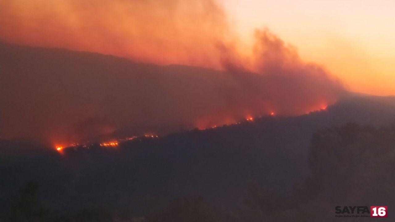 Ciğerlerimiz yanıyor.. Çanakkale, Hatay, Mersin...