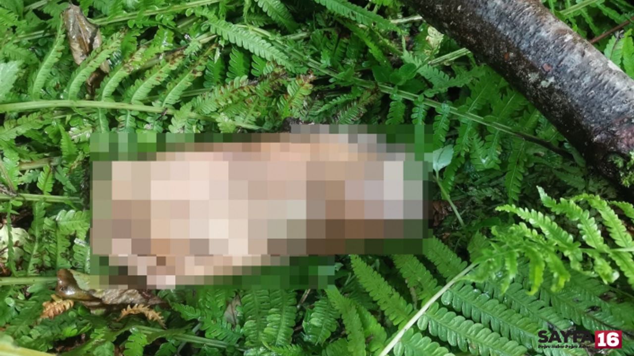 Hoparlörden yapılan "Ayak parçası bulundu"  anonsu duyanları şaşkına çevirdi