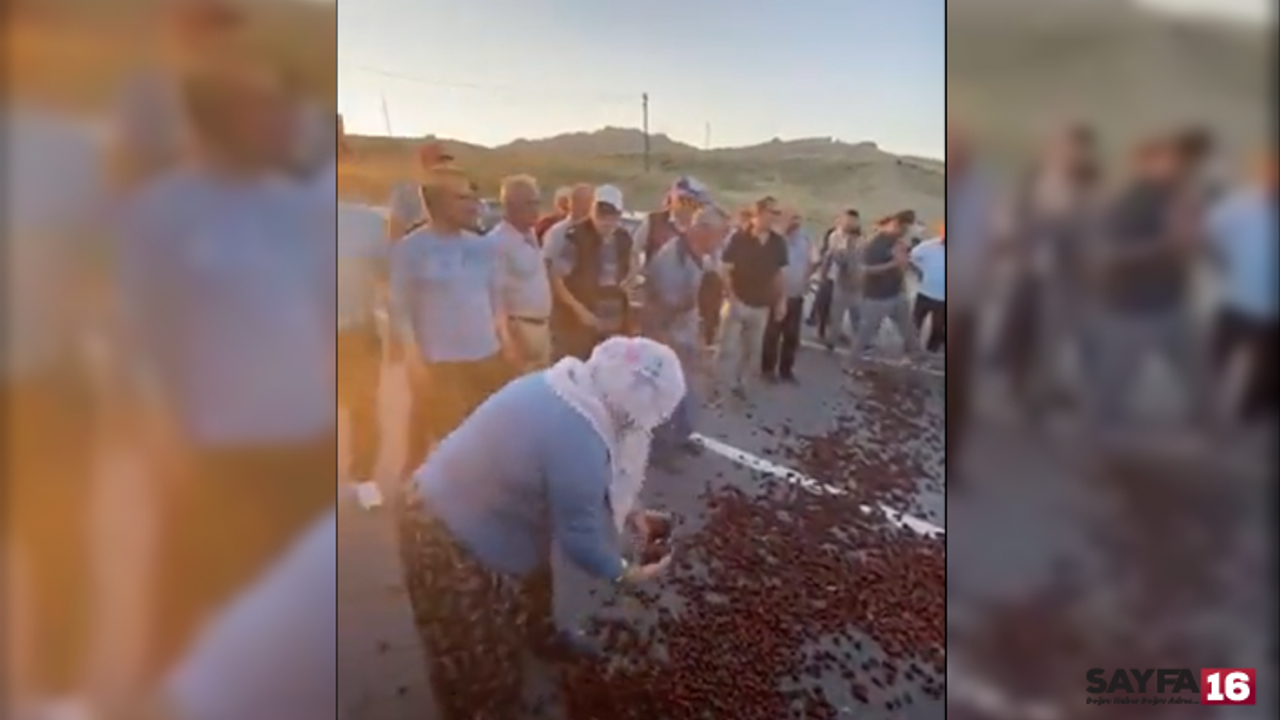 Kirazları döküp yol kapattılar: "Para etmiyor!"