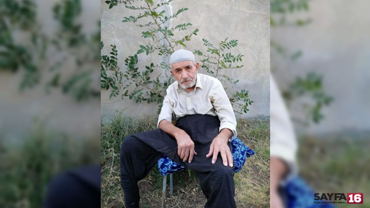 Köpekler tarafından parçalanmış halde cesedi bulundu