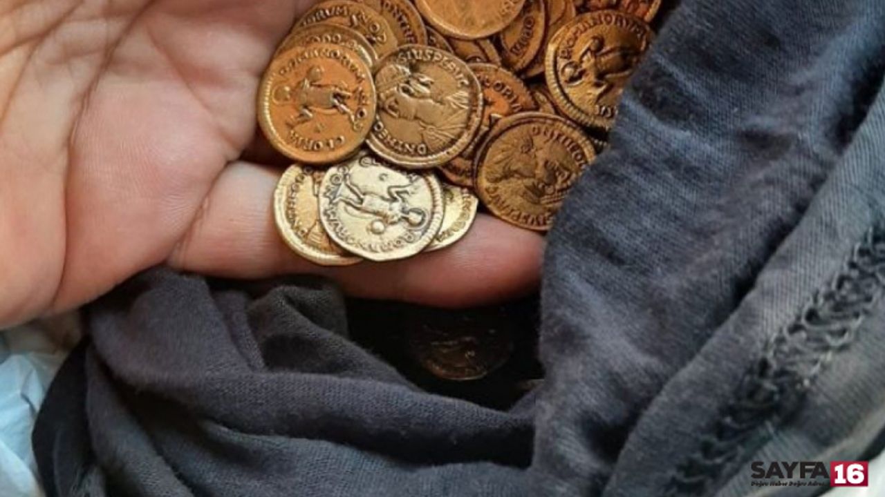 Mısır tarlasından milyonlarca dolarlık hazine çıktı