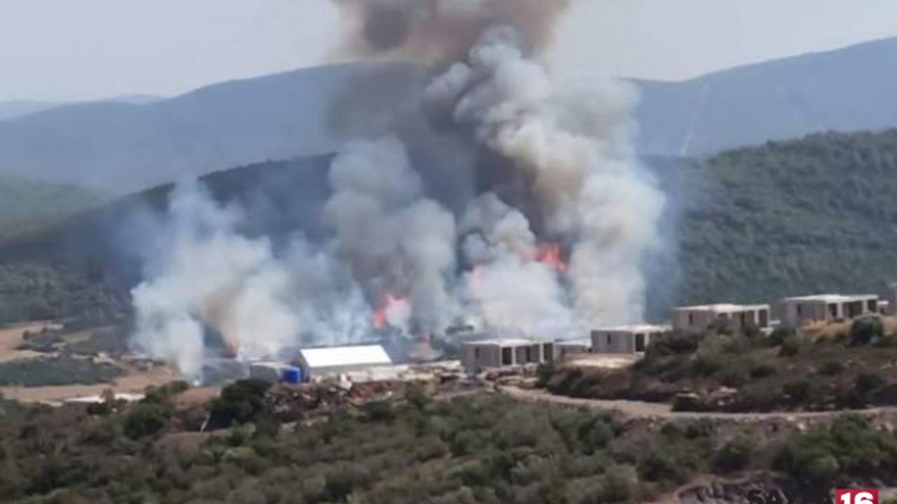 Muğla'da orman yangını çıktı!