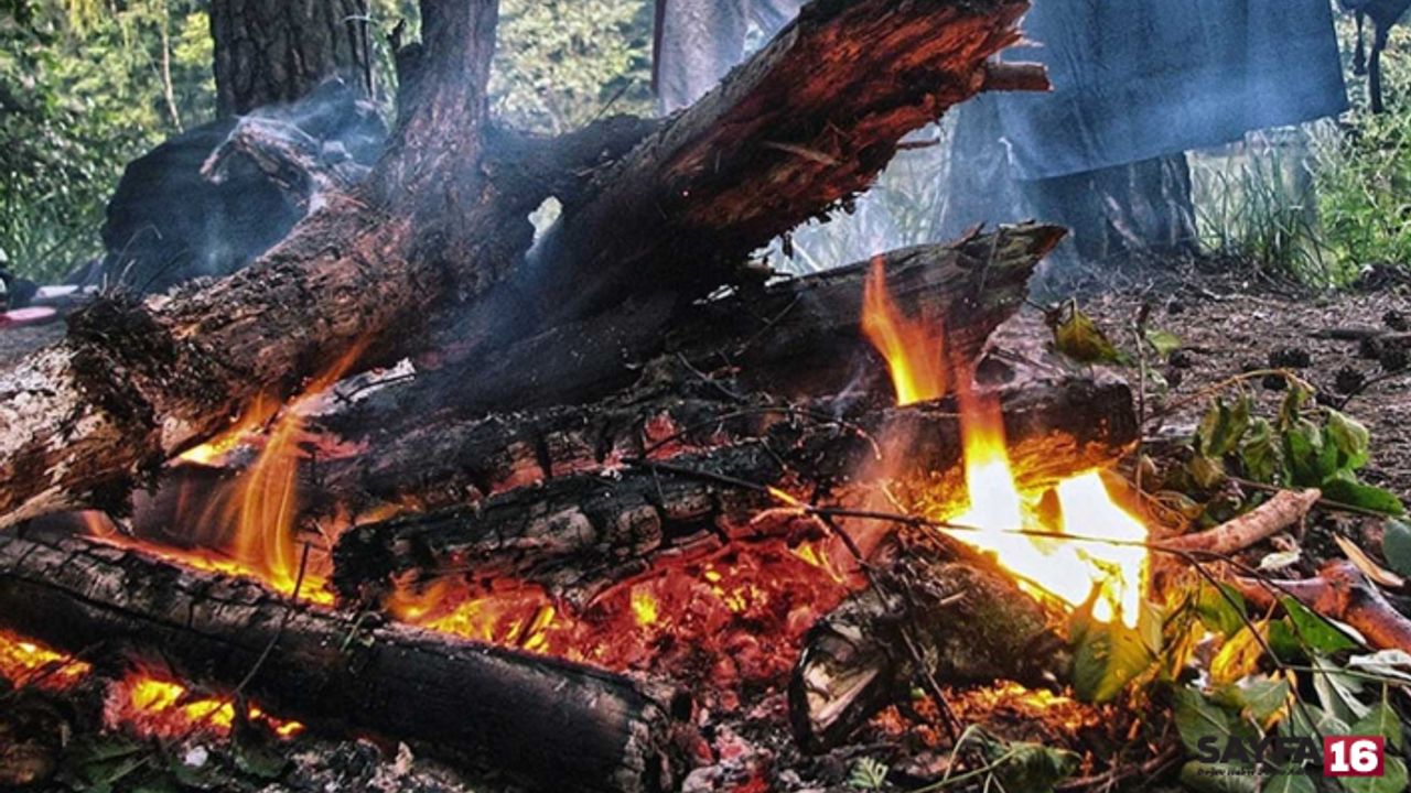 Son Dakika! Bursa'da ormanlarda ateş yakmak yasaklandı