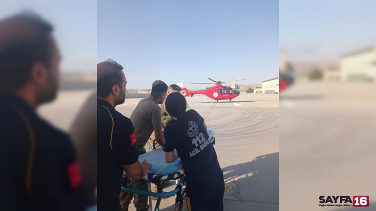Talihsiz çobanı koyun otlatırken akrep soktu