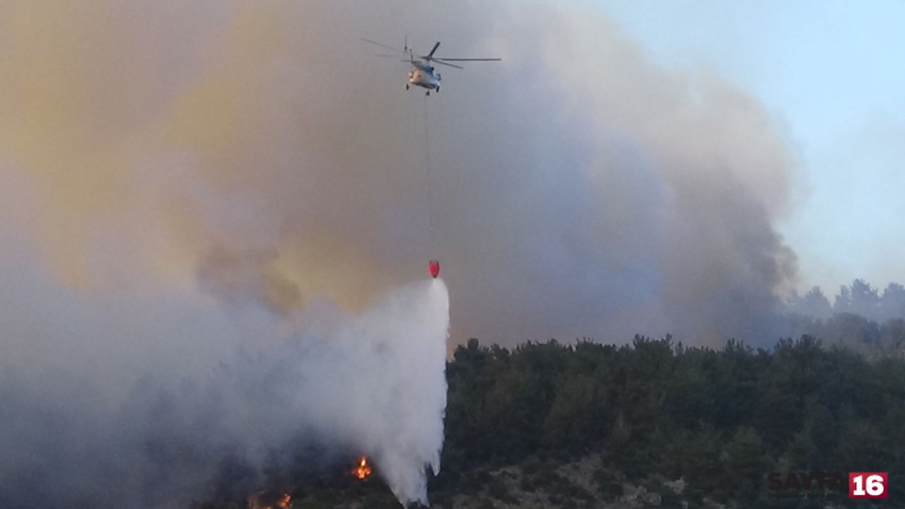 Türkiye yangınlara teslim! Çanakkale'de 37 saattir sürüyor, Hatay kontrol altında