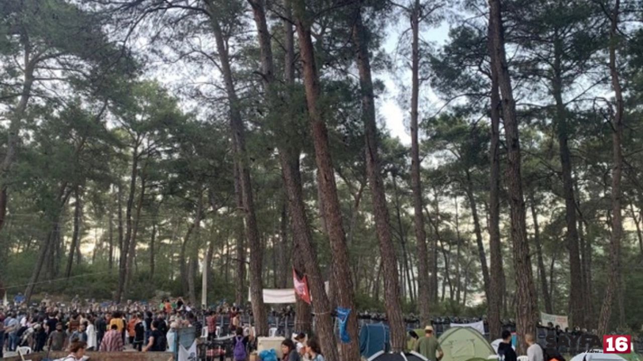 Valilik Akbelen'de ağaç kesiminin sonlandığını açıkladı