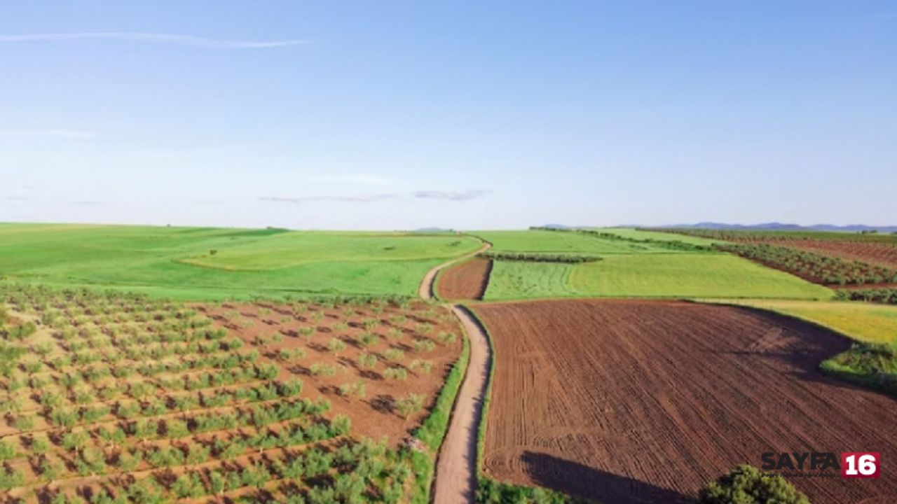 Arsa ve tarla satışlarında 2023’te rekor kırıldı