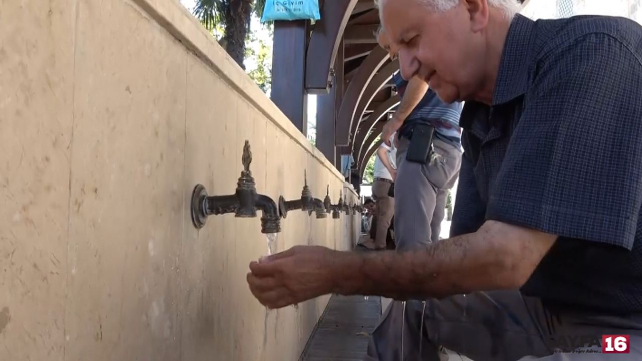 Bursa'da sıcaklıklar hem vatandaşları hem de hayvanları bunalttı