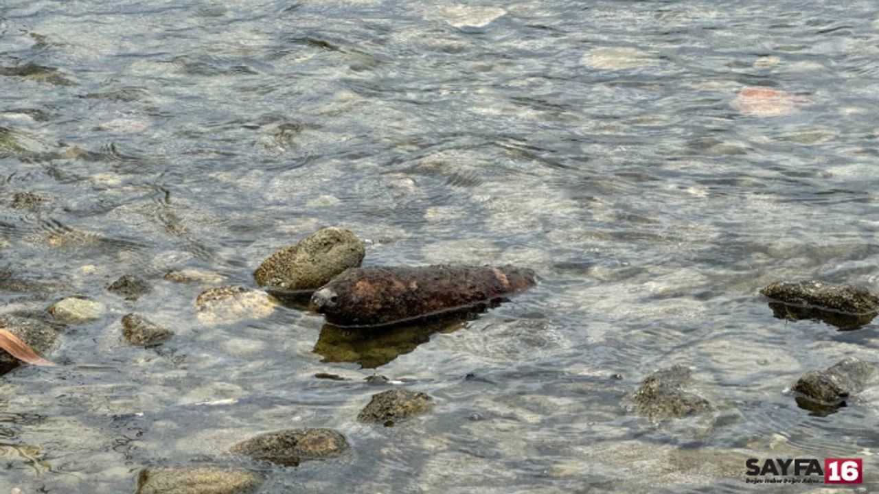 Son Dakika! Bursa İznik Gölü'nde top mermisi paniği