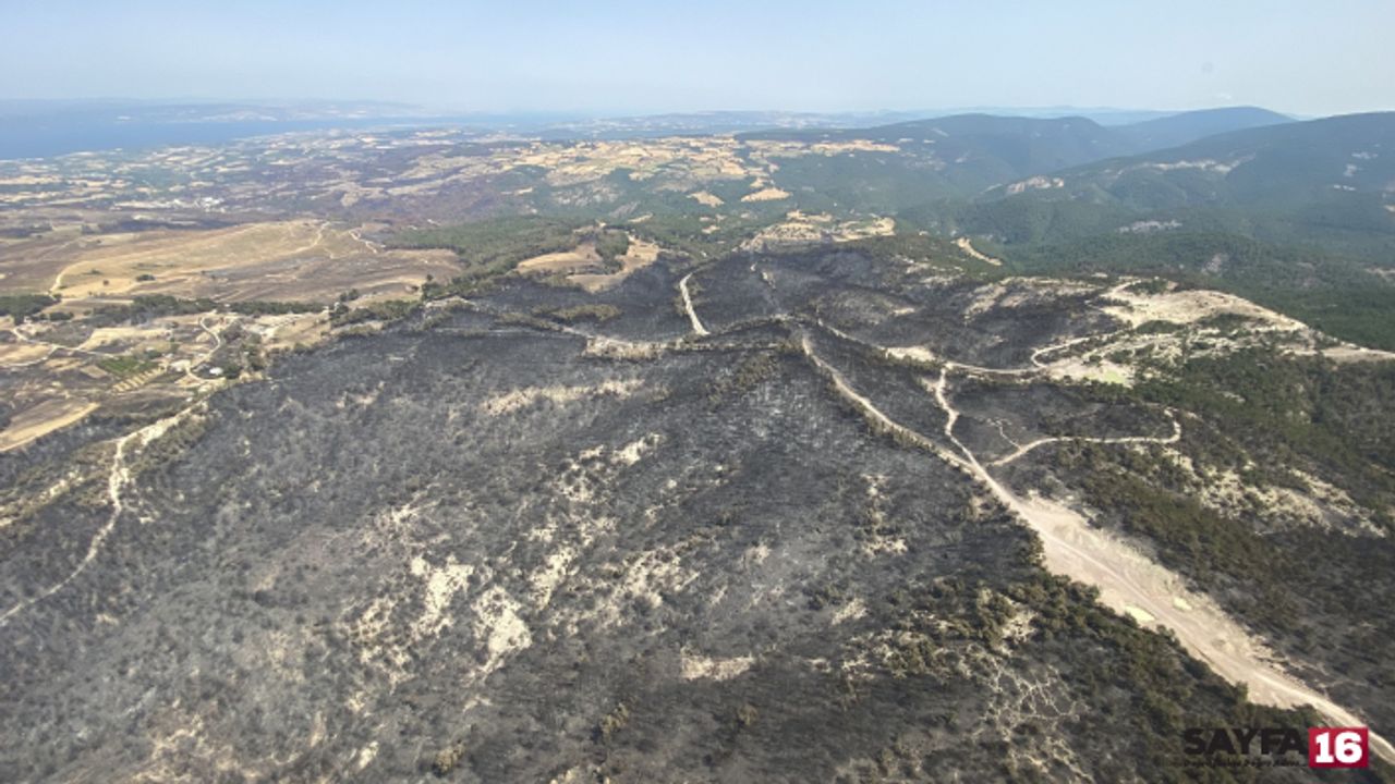 Çanakkale'de yangın kontrol altına alındı! Geriye bu acı görüntüler kaldı..