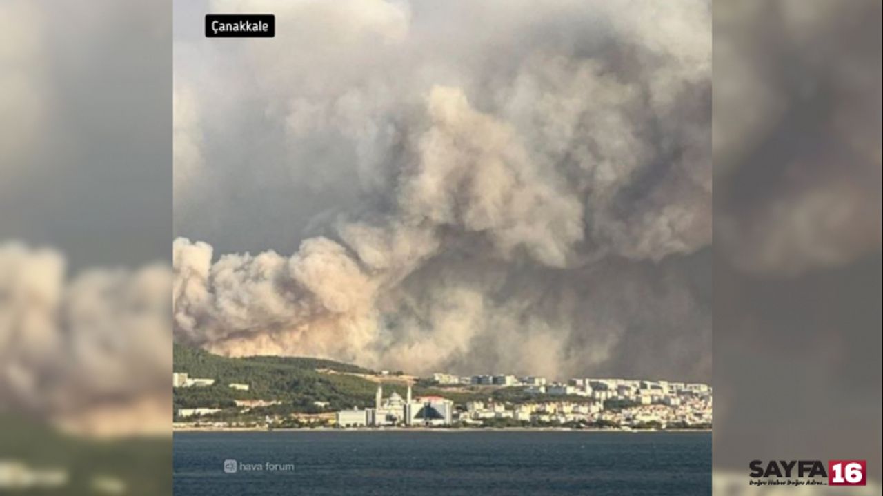 Çanakkale'deki yangın devam ediyor! Çanakkale boğazı kapatıldı