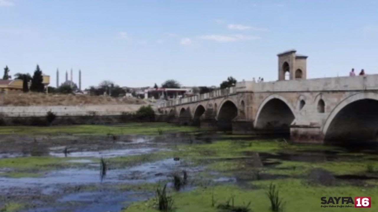Edirne'de Tunca Nehri kirlilikten yeşile büründü