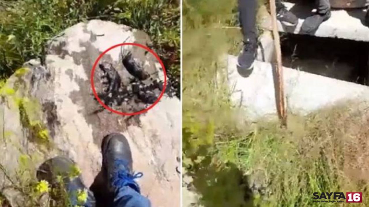 Erzurum içme suyu deposunda mide bulandıran, skandal görüntüler