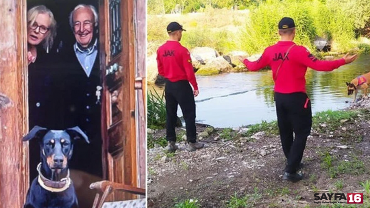 Korhan Berzeg'in köpeği 'Tina' 74 gün sonra evine döndü
