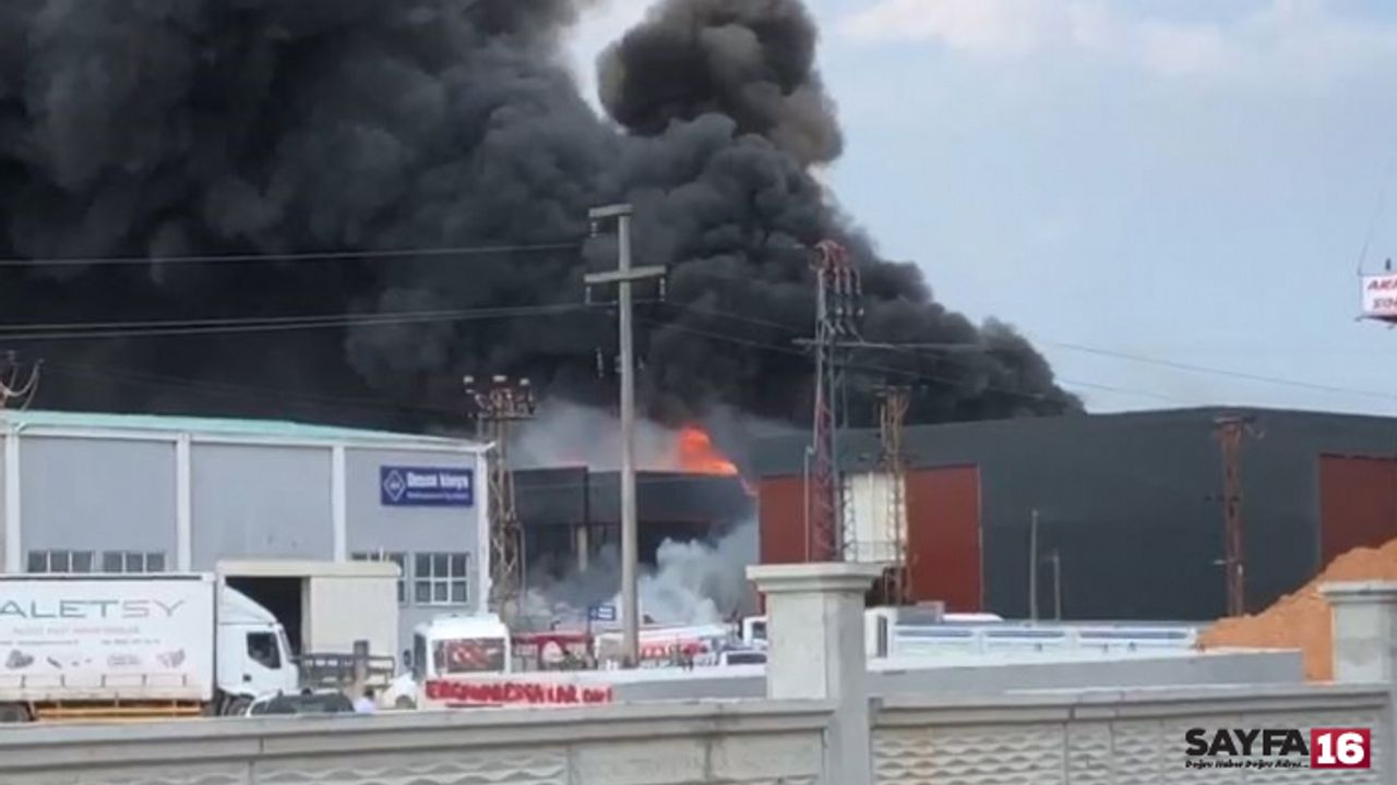 Tekirdağ'da bir fabrika cayır cayır yandı