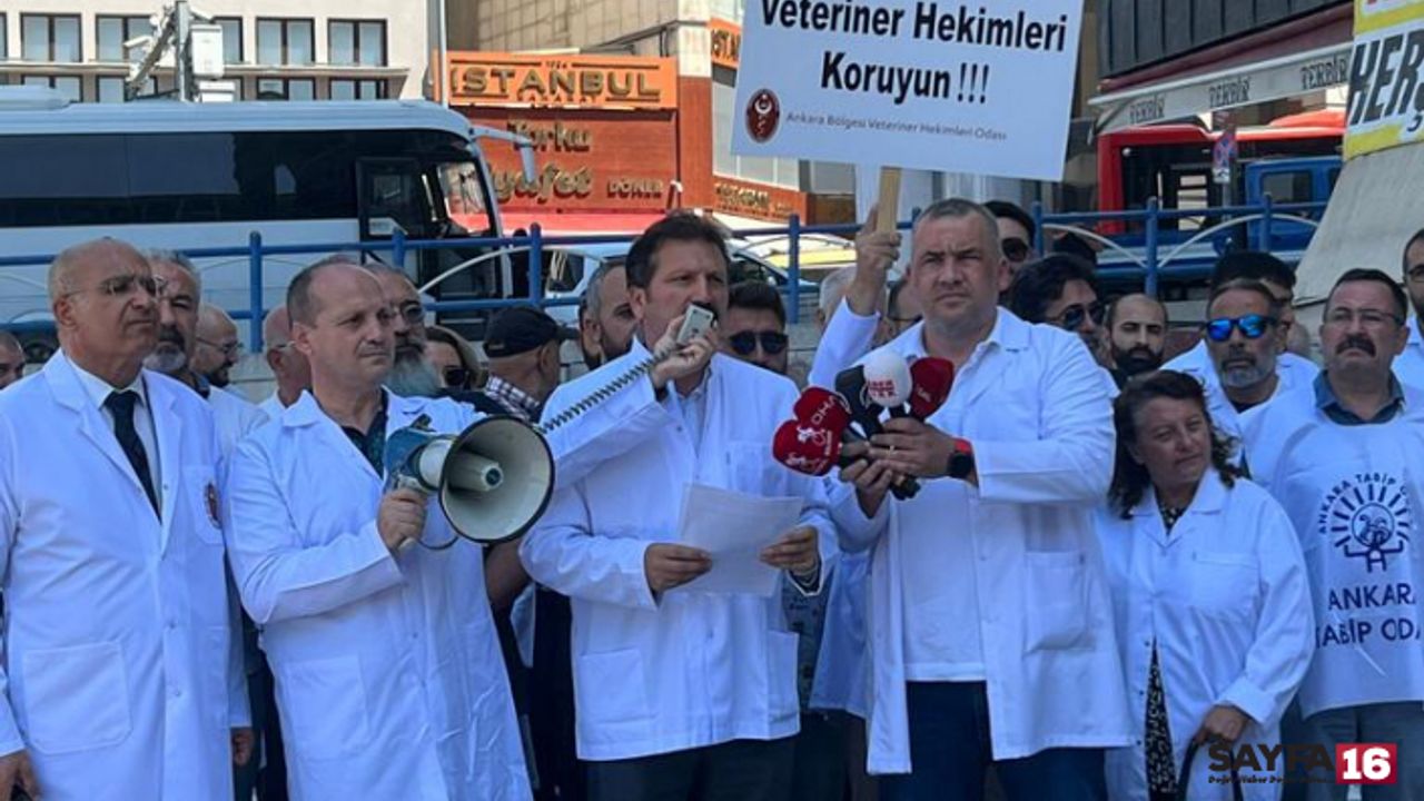Veteriner hekimler şiddet karşısında iş bıraktı