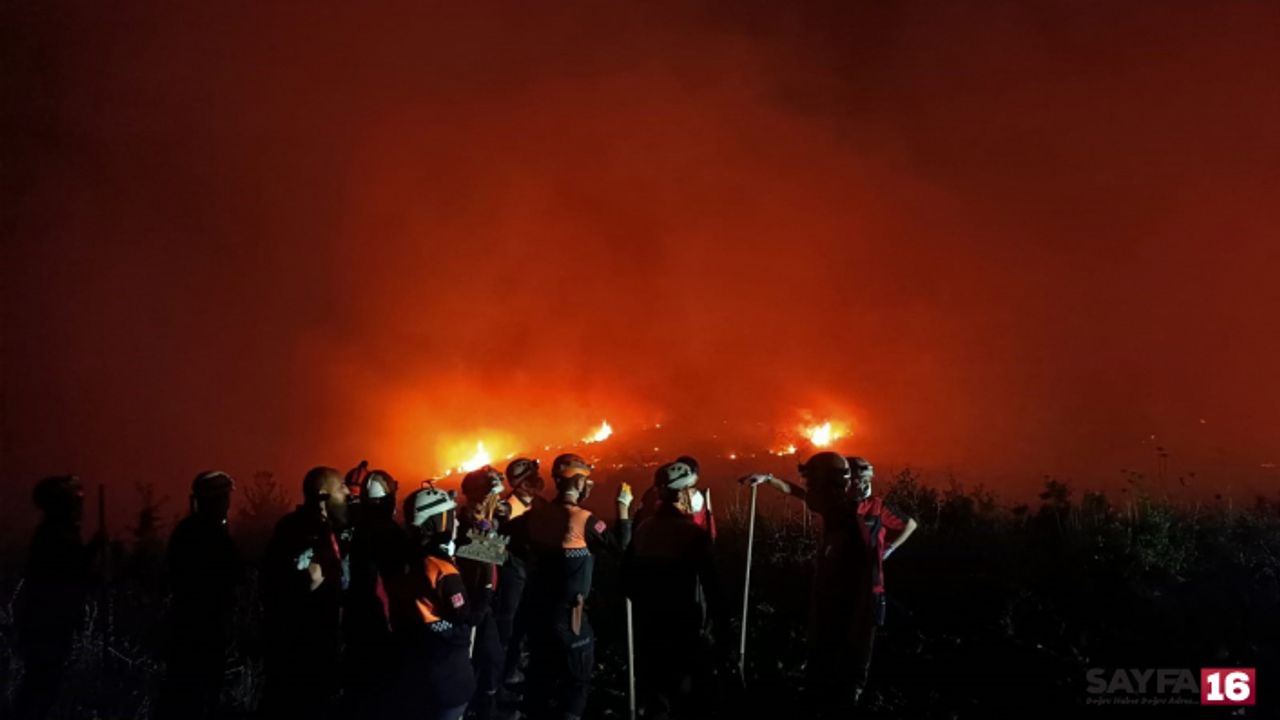 Yenişehir’de orman yangını kısmen kontrol altına alındı