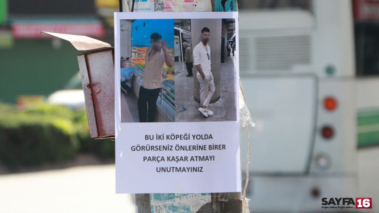 Adana'da Esrarengiz İlan Görenleri Hayrete Düşürdü