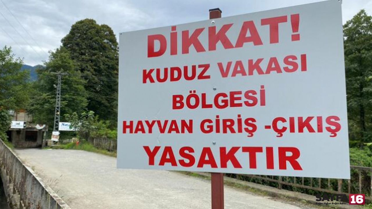Artvin'de Sahibini Isıran Köpek Kuduz Çıktı, 3 Köy Karantinaya Alındı