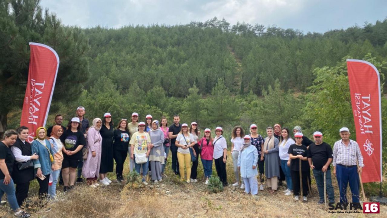 Hayat Hastanesi Orhaneli'deki Hatıra Ormanına Özel Bakım