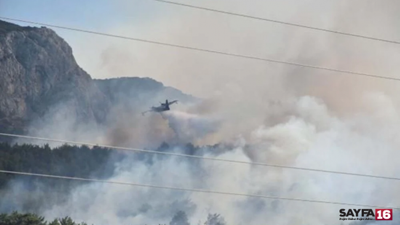 İzmir'de orman yangınına müdahale eden helikopter baraja düştü: 3 can kaybı