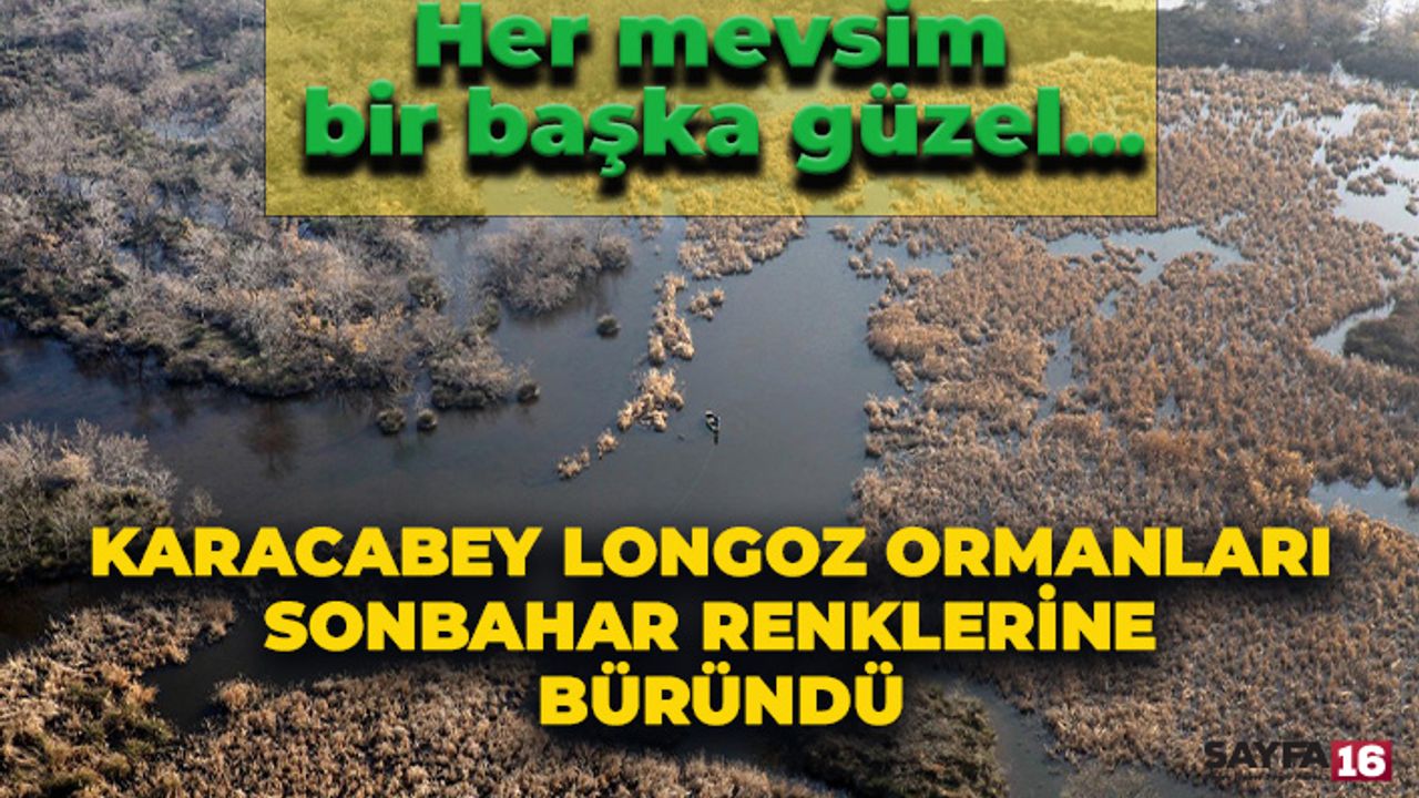 Karacabey Longoz Ormanları Sonbahar Renklerine Büründü