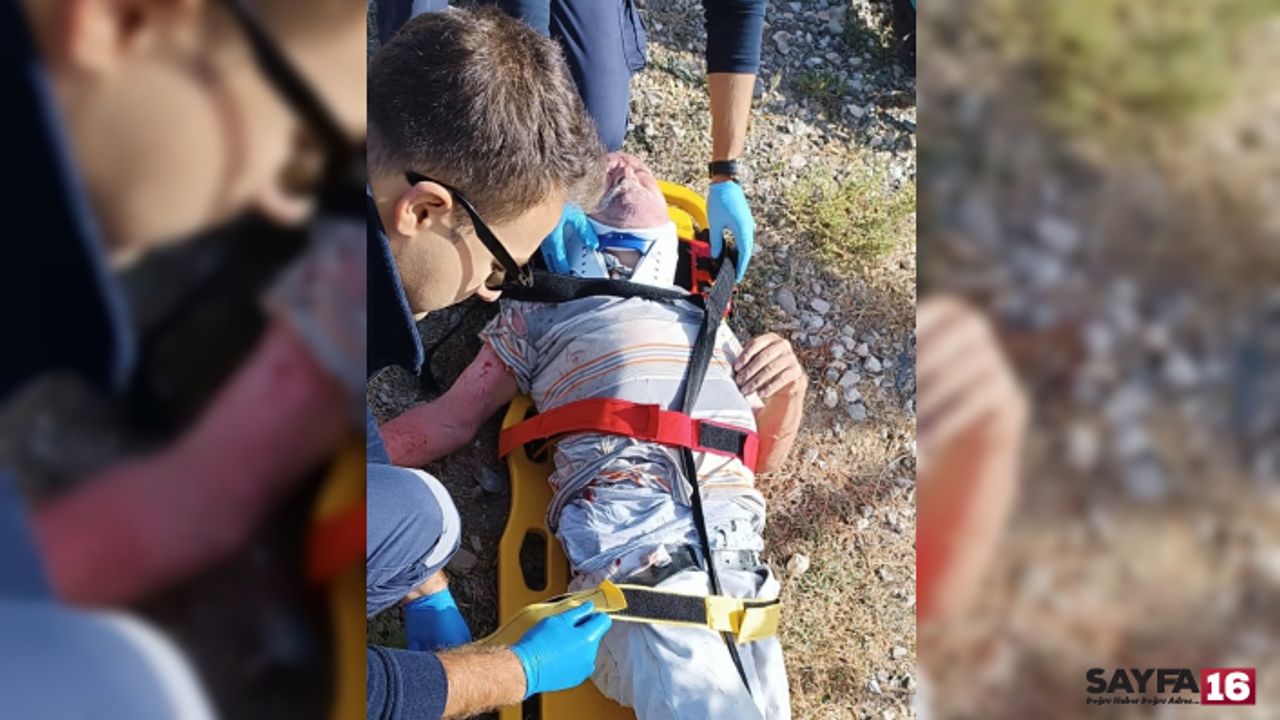 Kuşburnu Toplamak İçin Çıktı, Tel Örgülerde Bulundu