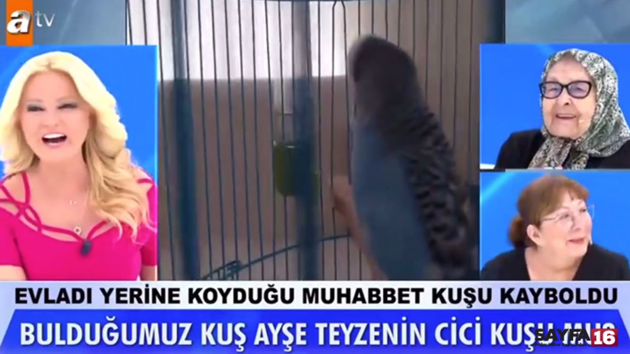 Müge Anlı bu kez Ayşe Teyze'nin muhabbet kuşunu buldu