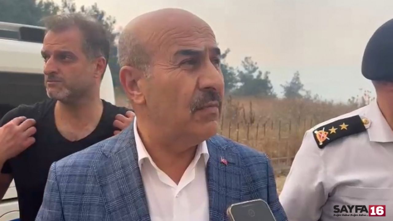 Vali Demirtaş'tan Mudanya yangını açıklaması