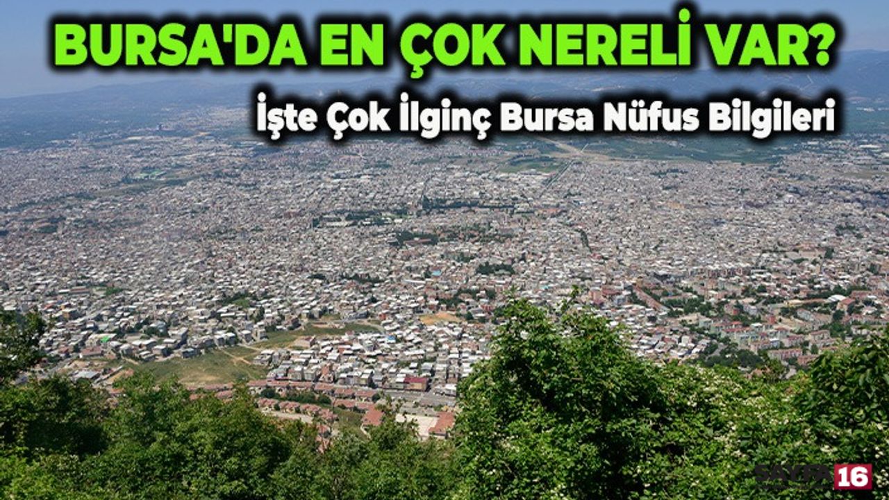 Bursa'da En Çok Nereli Var? Bursa'da Ne Kadar Yabancı Var? Bursa'nın ve İlçelerinin Nüfusu Kaç?