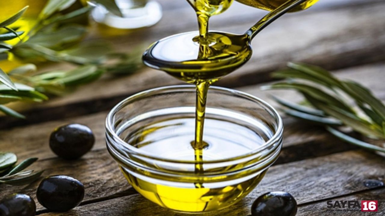 Zeytinyağı İhracat Yasağı Süresiz Uzatıldı! Peki Bu Sene Zeytin Neden Yok?
